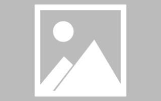 六安河池网站建设升级项目（广西河池网河池政府网）